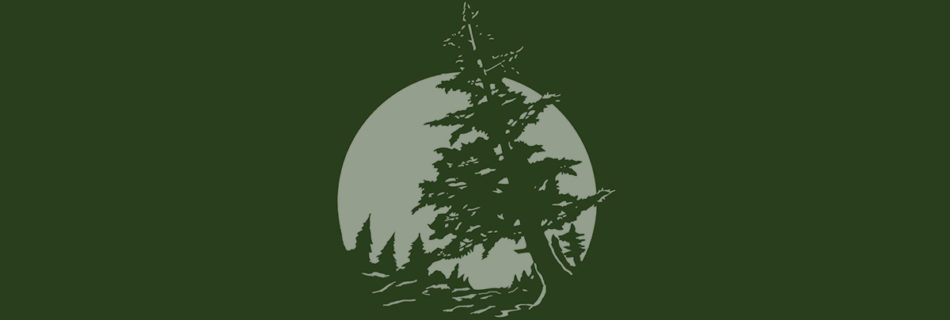 Hemlock tree on green background